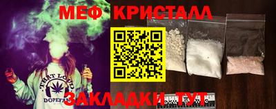 шишки Обь