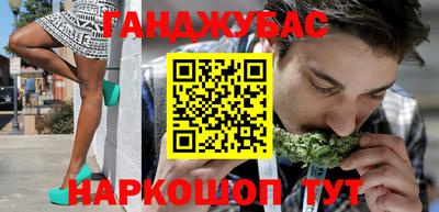 шишки Обь