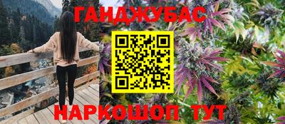 шишки Обь