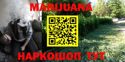 шишки Обь