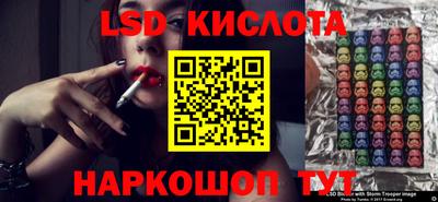 шишки Обь