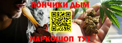 шишки Обь