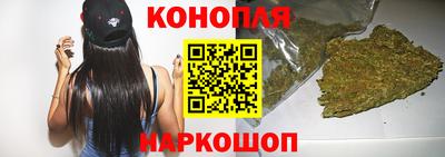 шишки Обь