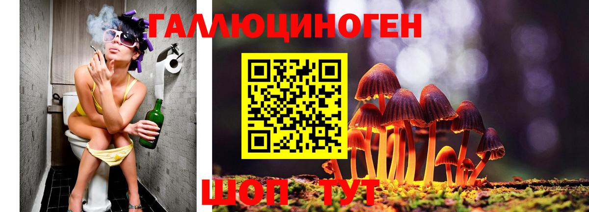 Псилоцибиновые грибы мухоморы Солнечногорск